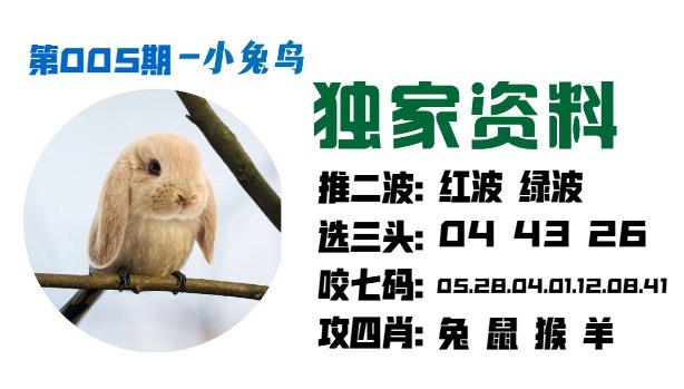 005期小兔鸟[图]